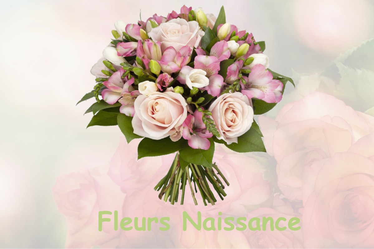 fleurs naissance LA-CHAPELLE-BLANCHE-SAINT-MARTIN